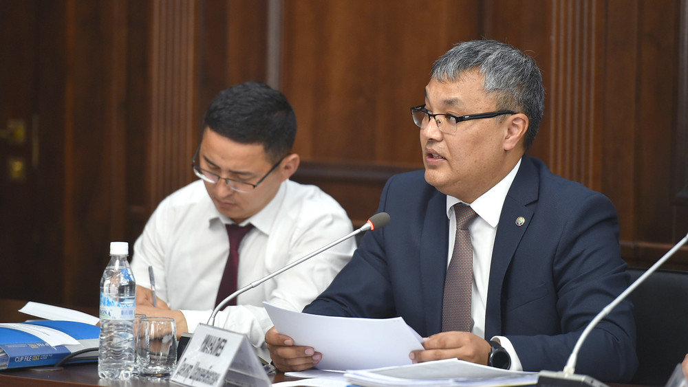 Первый заместитель министра экономики и финансов Данияр Иманалиев