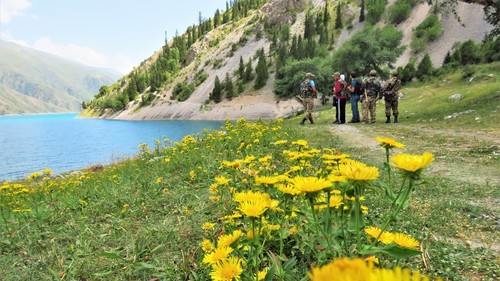 глэмпинг кыргызстан