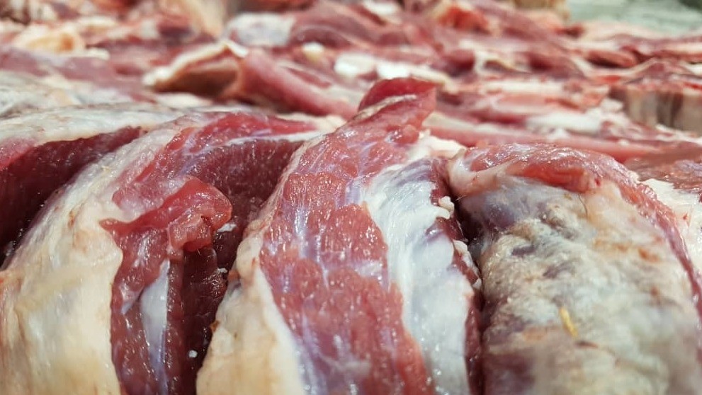 Иллюстрациялык сүрөт