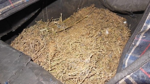 Марихуана
