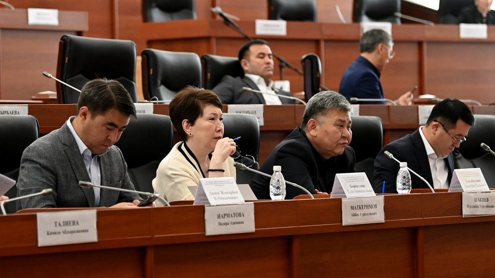 Члены Комитета ЖК по конституционному законодательству