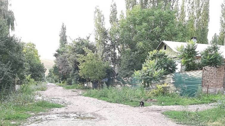Иллюстрациялык сүрөт