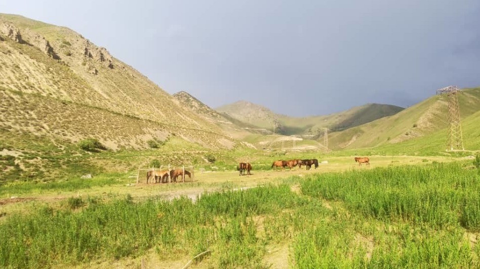 Иллюстрациялык сүрөт