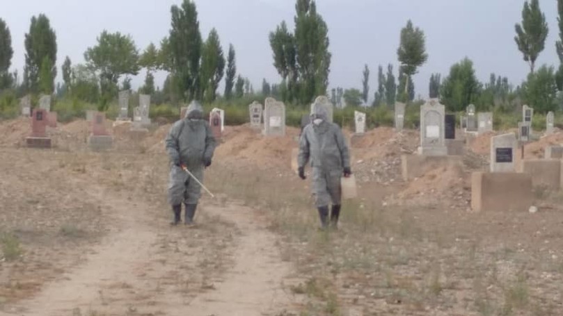 Иллюстрациялык сүрөт