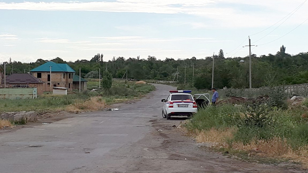 Иллюстрациялык сүрөт