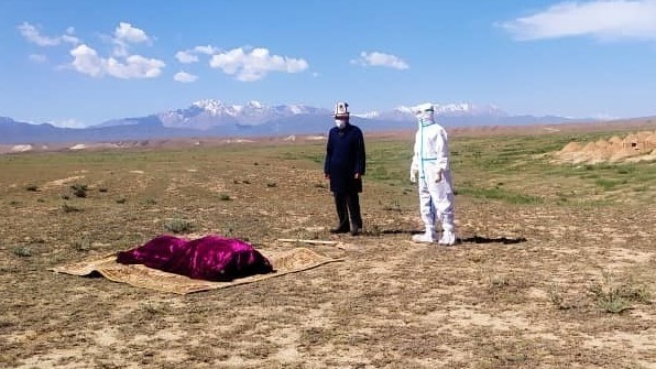 Иллюстрациялык сүрөт