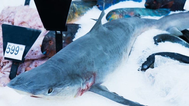 Иллюстративное фото