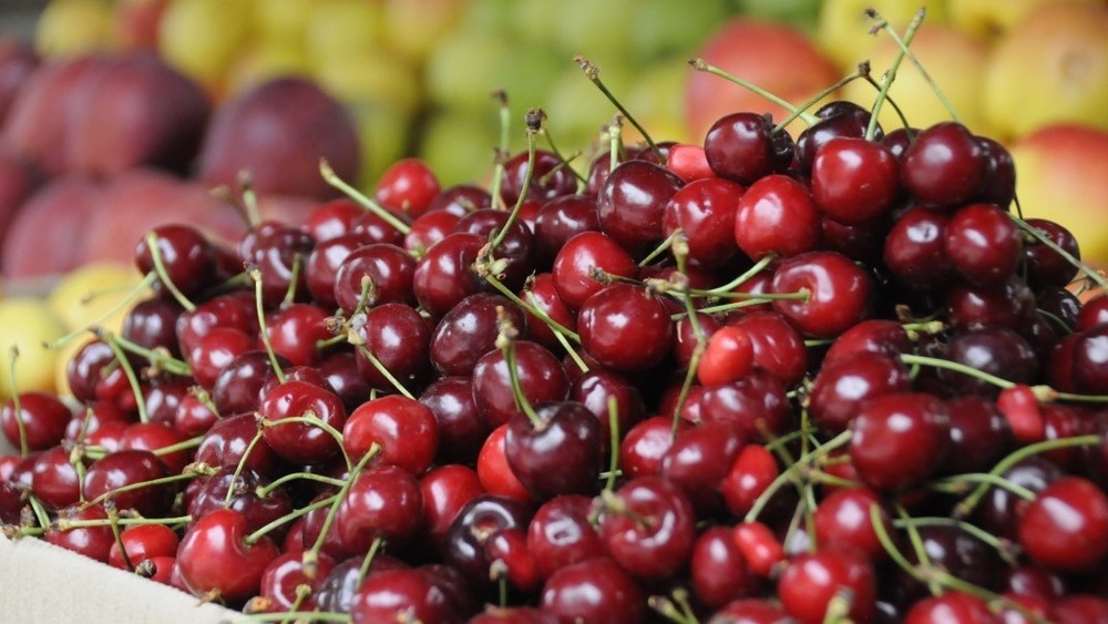 Иллюстративное фото