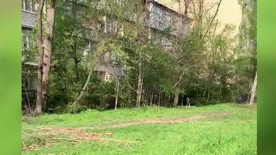 Улица Сыдыкова после вырубки деревьев