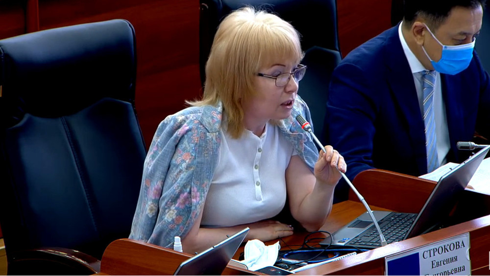 Депутат Евгения Строкова