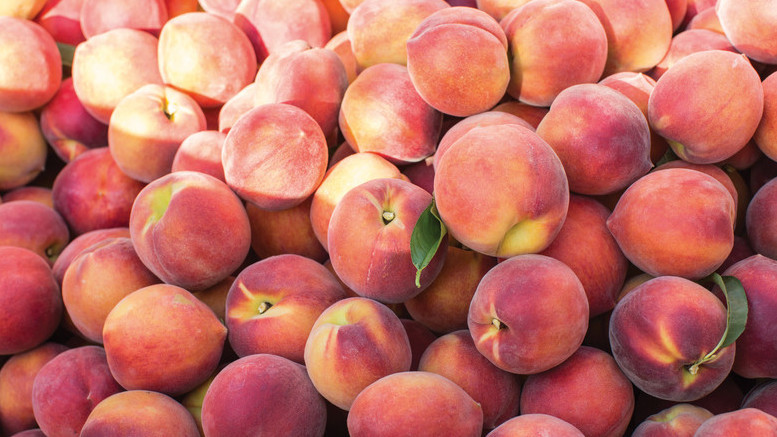 Иллюстративное фото