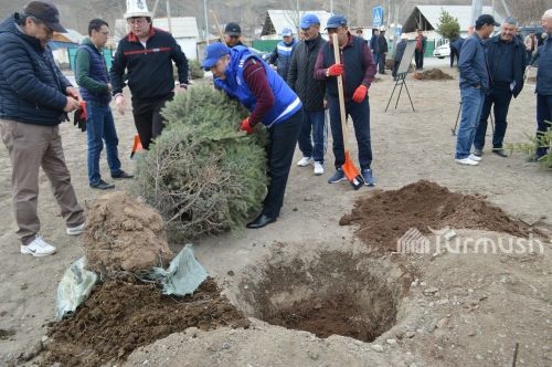 Таза-Нарын (5)