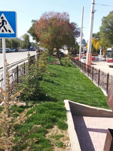 Таза-Нарын (17)