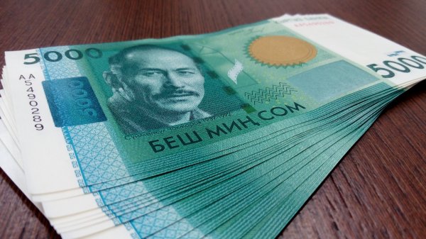 Курс валют: Доллар укрепляет свои позиции против сома (график) — Tazabek