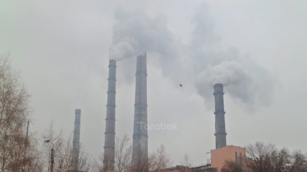 В «Электрических станциях» уточняют, имеет ли к ним отношение уголь, находящийся в вагонах, сошедших с рельсов в Жамбыльской области — Tazabek