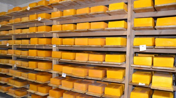 Рейтинг сыроделов: На рынке сменился лидер &mdash; Tazabek