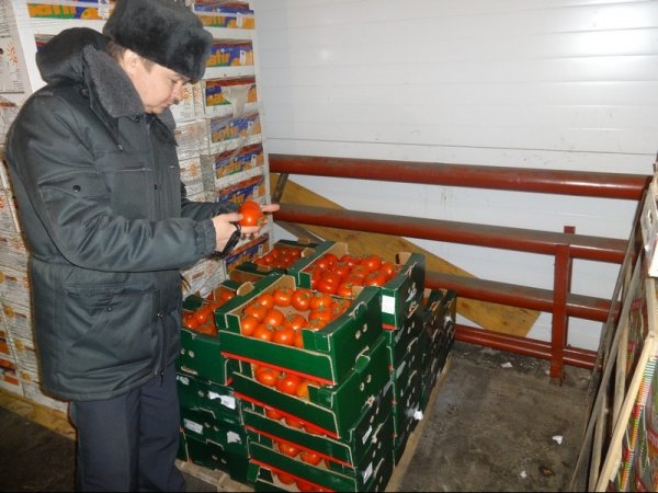 Россельхознадзор в марте не пропустил 147,15 тонн подкарантинной продукции из Кыргызстана &mdash; Tazabek