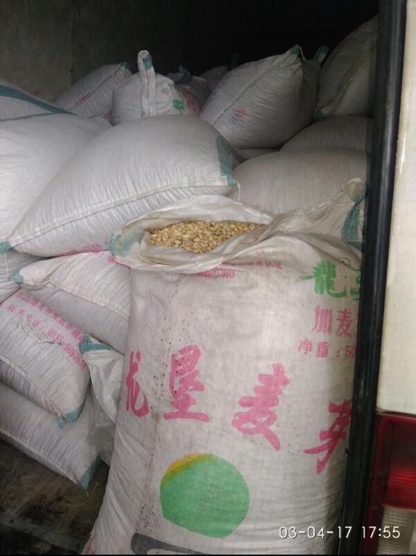 ГТС выявила 3 тонны незадекларированных фисташек &mdash; Tazabek