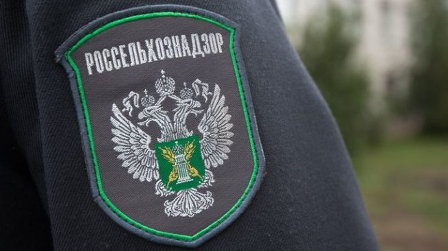 Россельхознадзор вернул в Кыргызстан 33,7 тонны слив, абрикосов и нектаринов &mdash; Tazabek