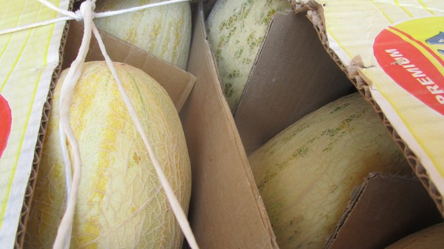 Россельхознадзор не пропустил в Оренбургскую область 203 тонны подкарантинной продукции из Казахстана и Кыргызстана &mdash; Tazabek