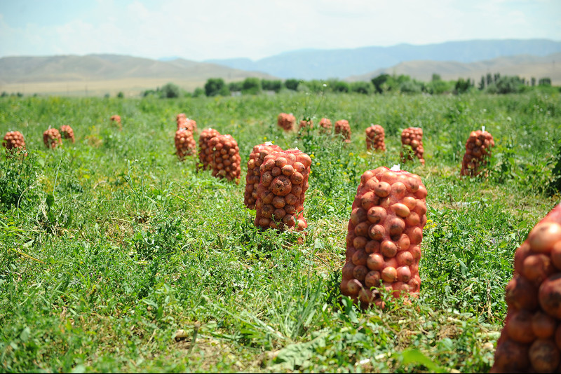 Экспорт из Кыргызстана за I полугодие 2018 года вырос на 2,7%, а импорт &mdash; на 22,8% &mdash; Tazabek