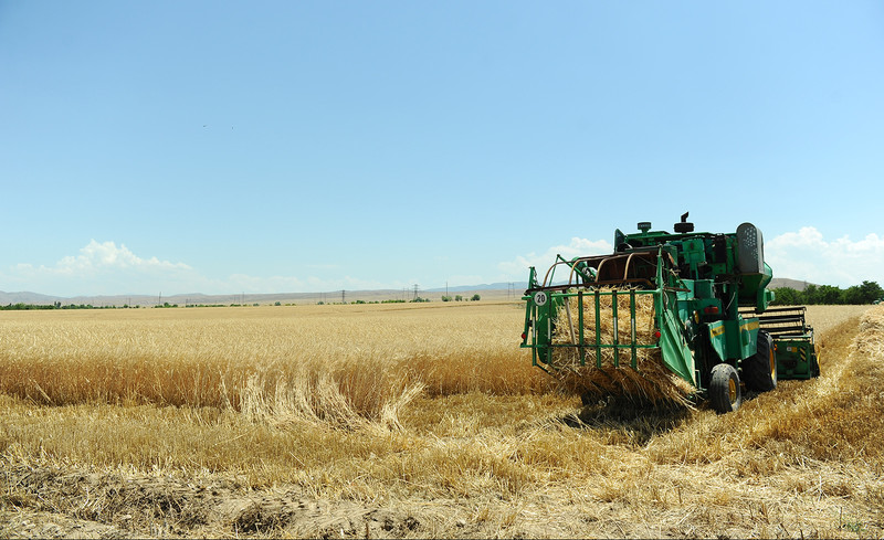 Минсельхоз при инвентаризации выявил в 24 районах страны увеличение орошаемой пашни до 59,5 тыс. га &mdash; Tazabek