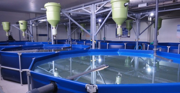 ЕЭК обнулила таможенные пошлины на отдельные виды оборудования для выращивания рыбы &mdash; Tazabek