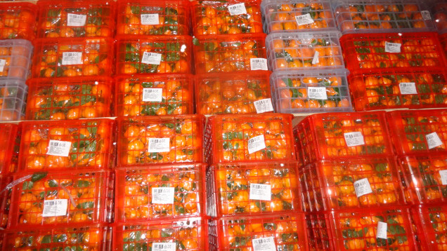 Россельхознадзор задержал 63 тонны растительной продукции из Казахстана и Кыргызстана &mdash; Tazabek