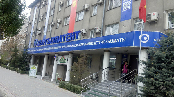 В Кыргызстане насчитывается 8 селекционных достижений, охраняемых Кыргызпатентом &mdash; Tazabek