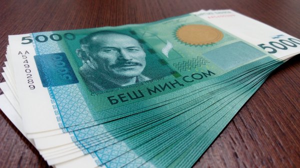 За 8 месяцев Налоговая служба недобрала свыше 1 млрд сомов, - Минфин &mdash; Tazabek