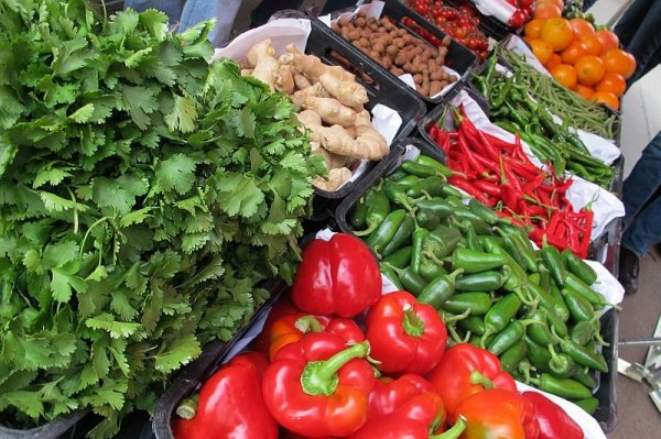 Правительство в 2017 году планирует вывести на внешние рынки порядка 20 отечественных предприятий &mdash; Tazabek