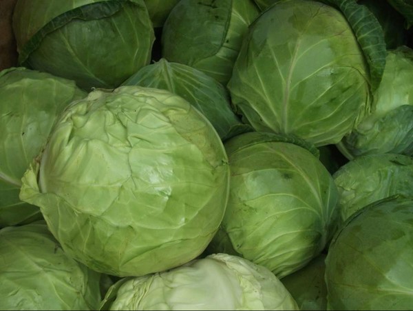 Таможенники задержали грузовик с 15 тоннами контрабандной капусты &mdash; Tazabek