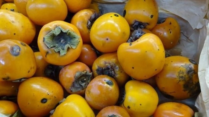 Минсельхоз Казахстана вернул в Кыргызстан 20 тонн хурмы &mdash; Tazabek