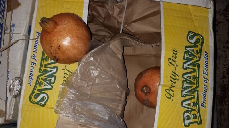 ГТС пресекла незаконный ввоз 5,8 тонны гранатов &mdash; Tazabek