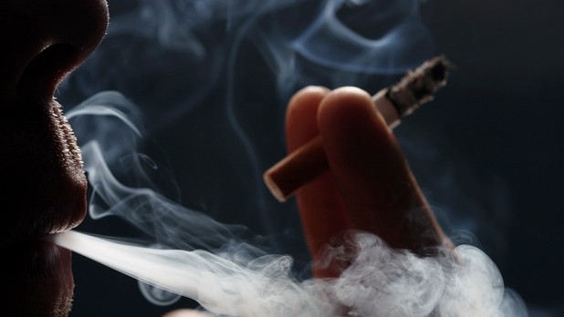 &laquo;Миллиарды за дым&raquo;: Среди владельцев фирм-импортеров сигарет брат экс-главы ГСБЭП и кандидат в депутаты (прибыль, выручка компаний) &mdash; Tazabek