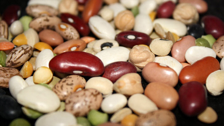 Среди 28 сортов фасоли в Кыргызстане востребованными оказались только 5, - Департамент по экспертизе сельхозпродукции &mdash; Tazabek