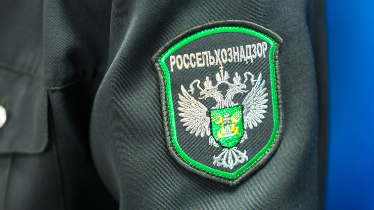 Россельхознадзор не пропустил в Новосибирск 175 тонн подкарантинной продукции из Казахстана и Кыргызстана &mdash; Tazabek
