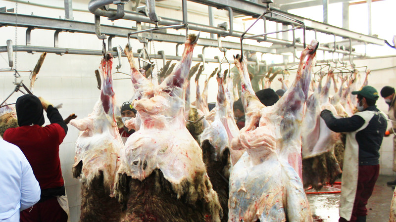 Евразийская экономическая комиссия ограничивает содержание антибиотиков в непереработанной пищевой продукции животного происхождения &mdash; Tazabek