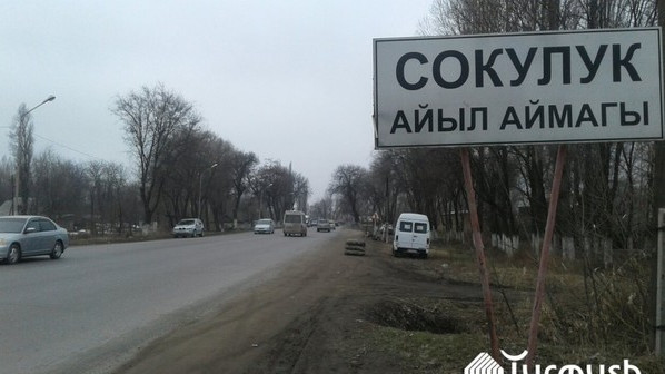 В каком регионе больше всего посеяно зерновых культур? &mdash; Tazabek