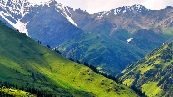 Правительство одобрило законопроект о туризме &mdash; Tazabek