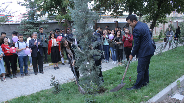 Ала-Тоо эл аралык университетинде тынчтыктын дарагы отургузулду (сүрөт)