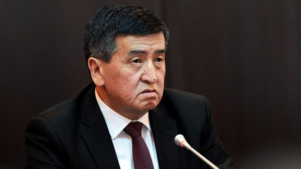 Правительство направило в 2016 году на идентификацию скота 40 млн сомов &mdash; Tazabek