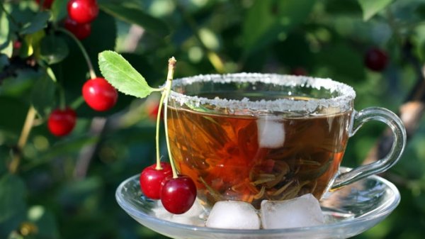 Импорт в $5 млн или откуда завозят чай? (страны, объемы) &mdash; Tazabek