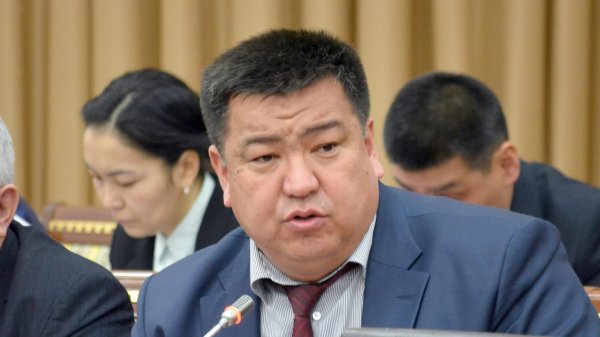 Минсельхоз КР предложил Германии сотрудничество по нескольким проектам, - министр Н.Мурашев &mdash; Tazabek