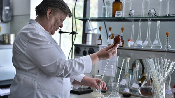 По фитосанитарным лабораториям ставятся жесткие условия, мы не стали ждать российские деньги, - Минсельхоз &mdash; Tazabek