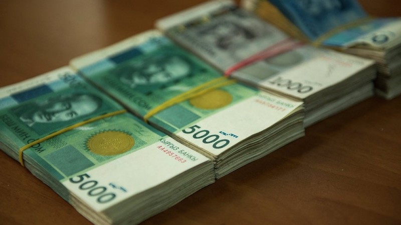 В бюджет государства за 5 месяцев поступило более 27 млрд сомов налогов &mdash; Tazabek