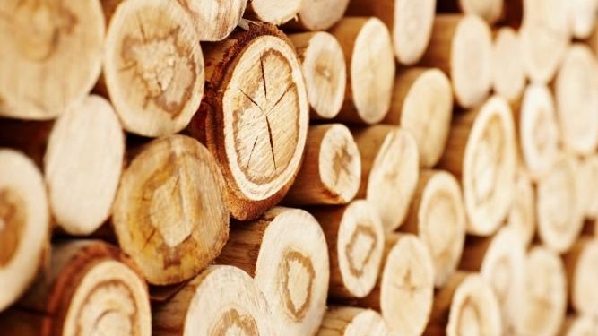 Обзор Tazabek: В какие страны Кыргызстан экспортирует лесоматериалы и изделия из него? (объемы, стоимость) &mdash; Tazabek