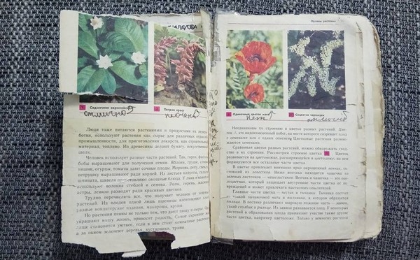 Школы Кыргызстана полностью будут обеспечены учебниками в течение пяти лет, - министр образования