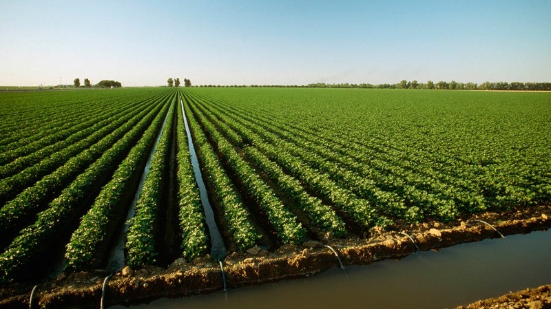 С 2013 по 2016 года на реализацию ирригационных проектов в КР вложено $1,1 млрд, - сборник &mdash; Tazabek