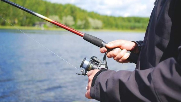 Минсельхоз предлагает утвердить ряд стандартов госуслуг, оказываемых подразделениями министерства &mdash; Tazabek